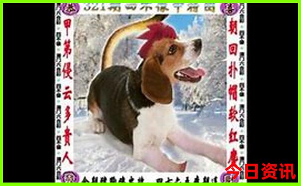 暑假带高中生儿子去哪里旅游好